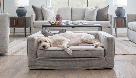 Slip Cover Dog Sofa